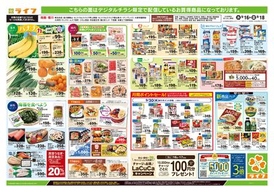 9/16号 とことん旬!きのこ