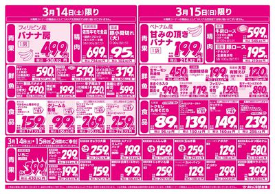 3/13美味しさ満開フェア(裏面)