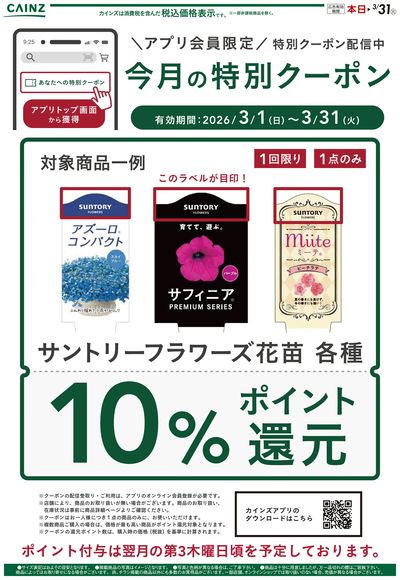 今月の特別クーポン