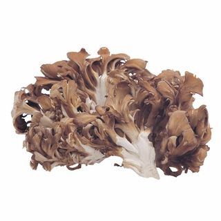 新潟産他 舞茸 1パック