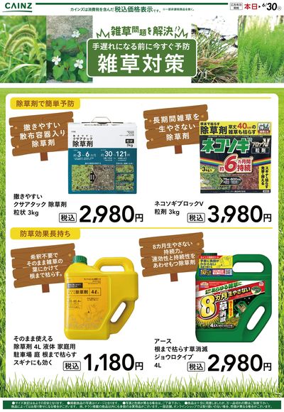 雑草問題を解決