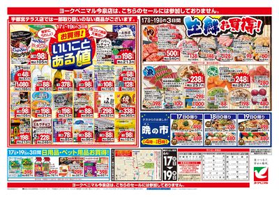 6/17号 ウラ
