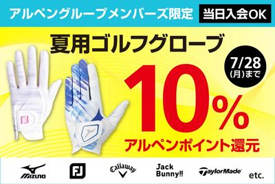 夏用グローブ アルペンポイント10%還元