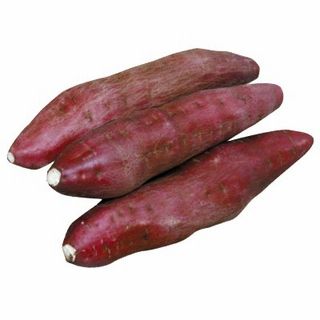 さつま芋