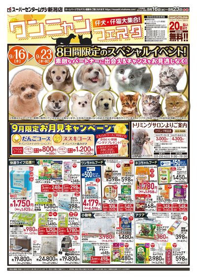9月16日号チラシ 表面