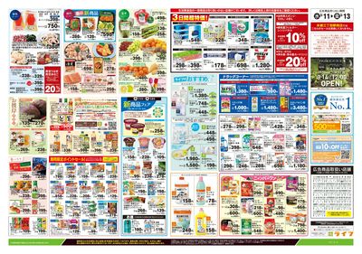 3/11号 とことん旬!キャベツ