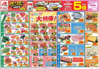 6月3日開始チラシ:表