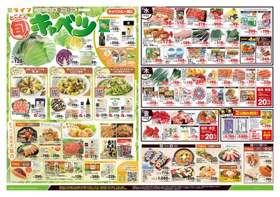 3/11号 とことん旬!キャベツ