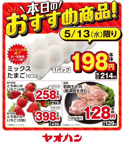 本日のおすすめ商品!