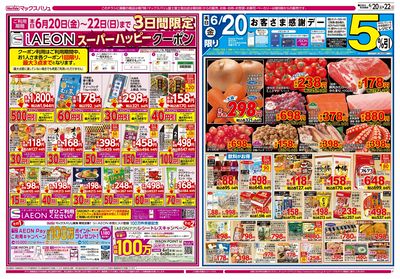 6/20号 韓国フェア/お客さま感謝デー:オモテ