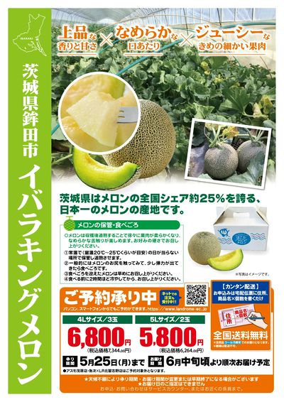 産直・イバラキングメロン