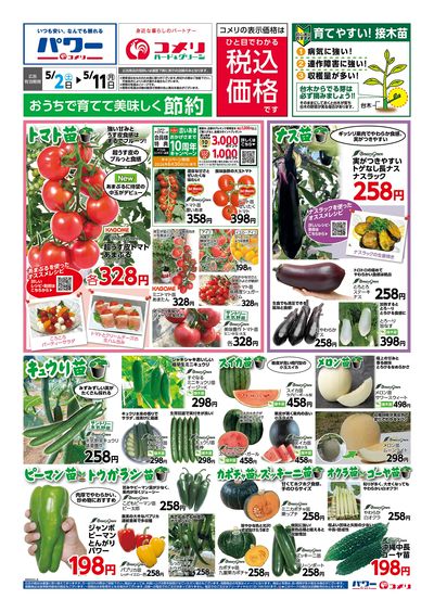 5/2号 野菜苗チラシ オモテ