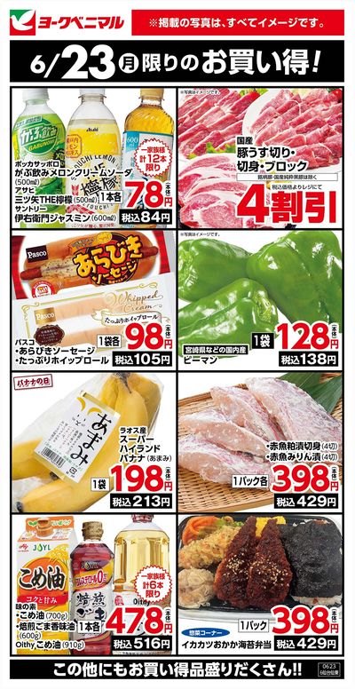 6/23限りのお買い得!
