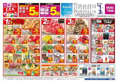 9/1号 イズミデーチラシ オモテ