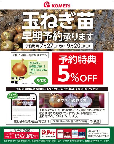 玉ねぎ苗 早期予約承ります