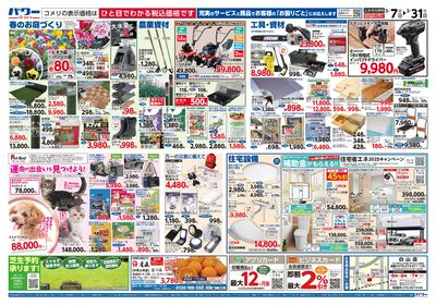 コメリパワー 3/7号 決算市 ウラ