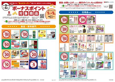 6月楽天ポイントチラシ:オモテ