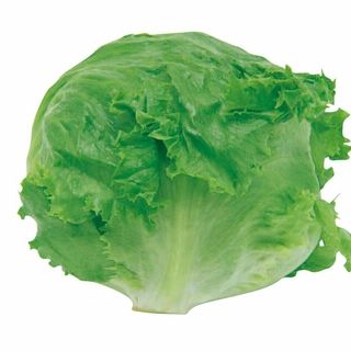 九州各産地 レタス 1玉