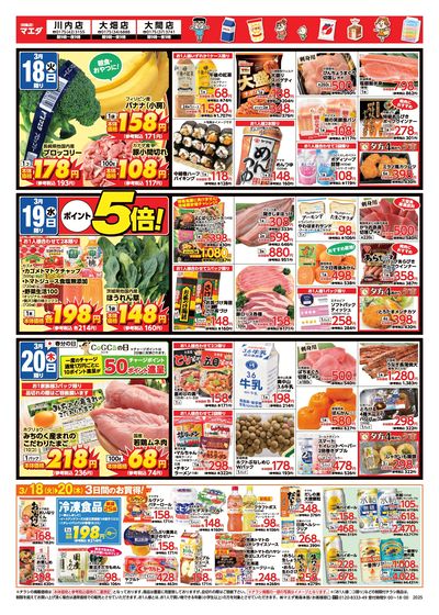 春の彩 うら3