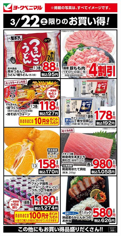 3/22限りのお買い得!