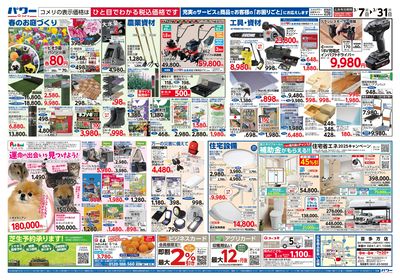 コメリパワー 3/7号 決算市 ウラ