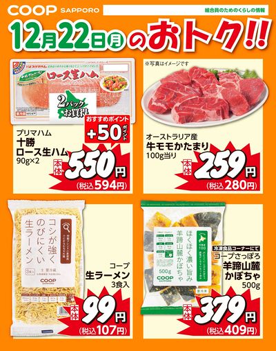 12月22日お買得品