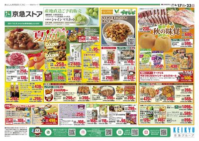 8/17号チラシ:オモテ