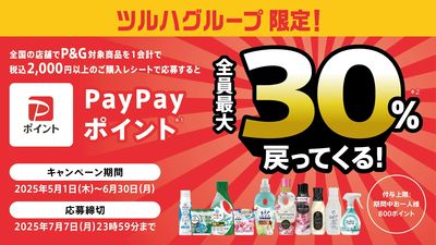 5/1~6/30 ウェルネス P&Gペイペイ30%ポイント還元キャンペーン