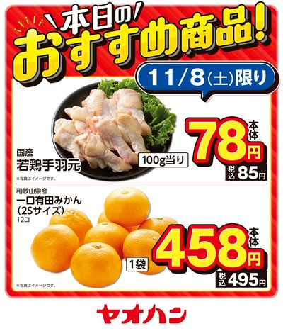 本日のおすすめ商品!