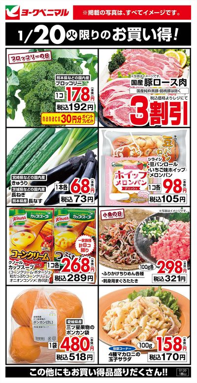 1/20限りのお買い得!