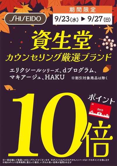 資生堂カウンセリング厳選ブランド_ポイント10倍