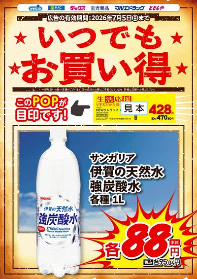 いつでもお買い得 伊賀の天然水 強炭酸水1L