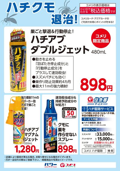 ハチクモ退治!