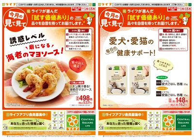 今月の見て見て