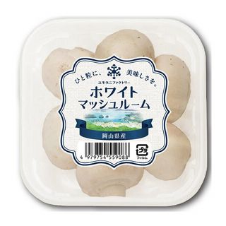 マッシュルーム ホワイト
