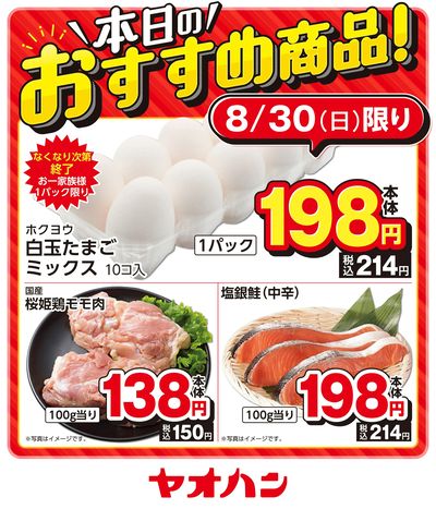 本日のおすすめ商品!