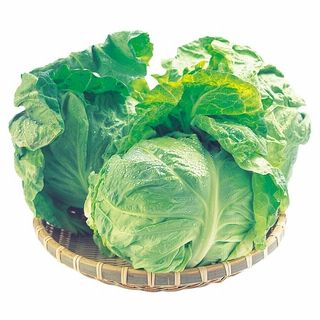 <千葉県産他国内産>きゃべつ