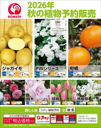 2026年 秋の植物予約販売