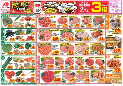 6月17日開始チラシ:表
