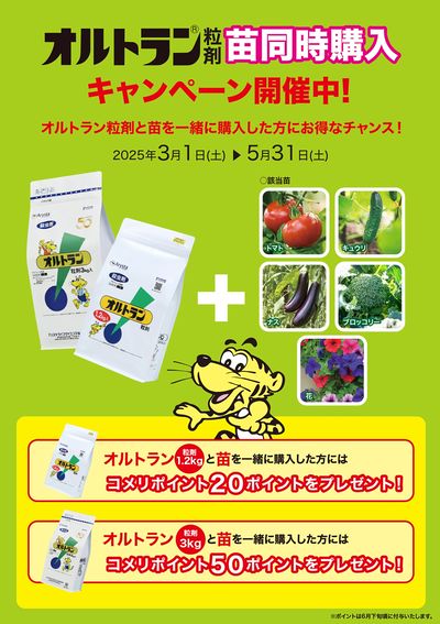 オルトラン粒剤 苗同時購入キャンペーン