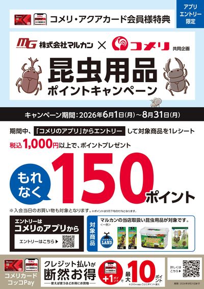 マルカン 昆虫用品ポイントキャンペーン