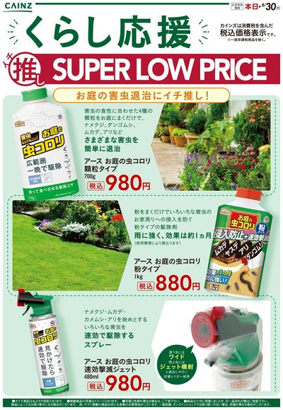 イチ推しSLP5/22号