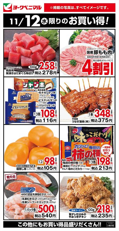 11/12限りのお買い得!