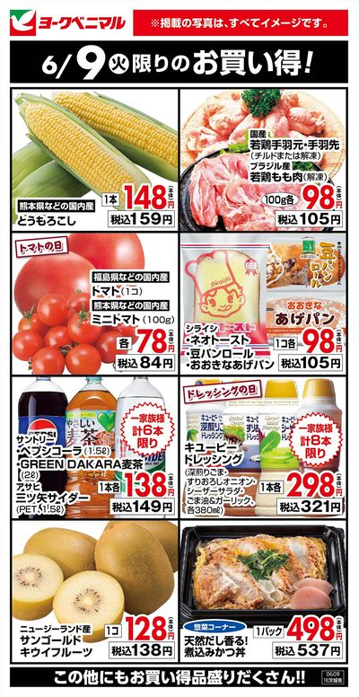 6/9限りのお買い得!