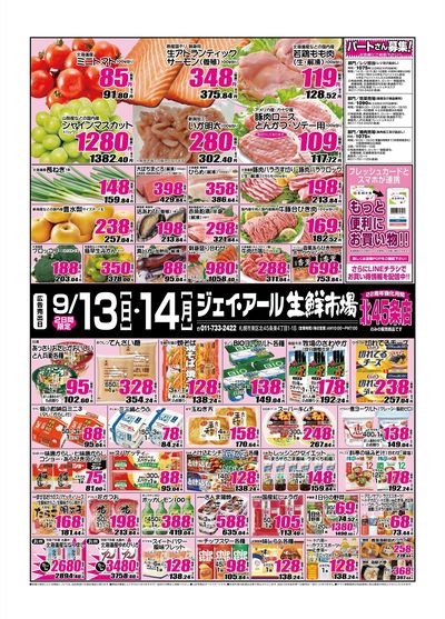 260913_45条チラシ