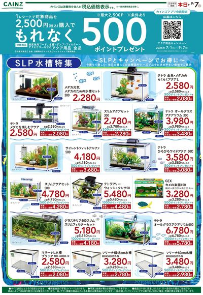 夏を楽しもう②