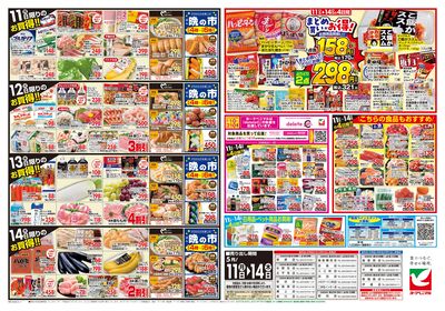 5/11号 ウラ