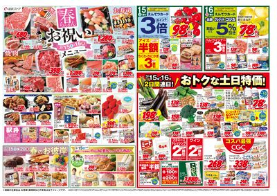 3/15(土)~3/21(金)チラシ