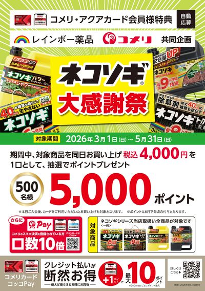 レインボー薬品×コメリ共同企画 ネコソギ大感謝祭