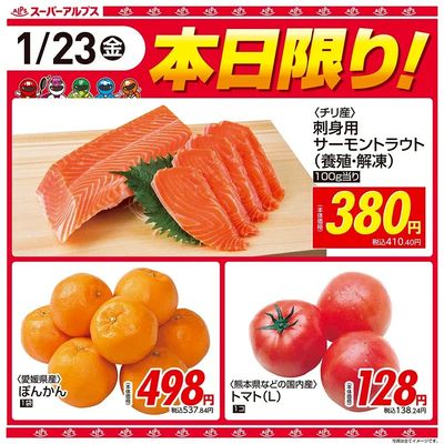 1/23(金)本日限り!